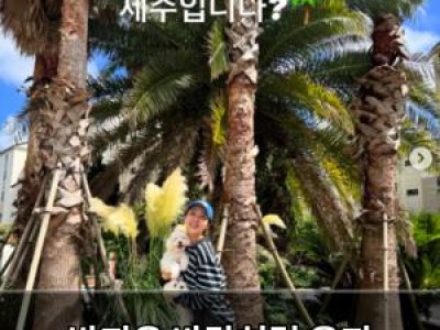 박지윤 바람처럼 육지 다녀오고 친구 집에서 신났다