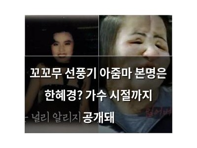꼬꼬무 선풍기 아줌마 본명은 한혜경? 가수 시절까지 공개돼