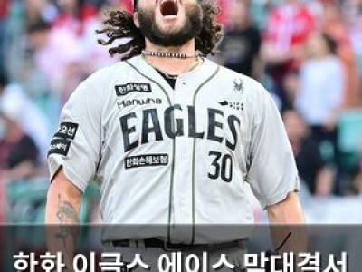 한화 이글스 에이스 맞대결서 역전승에 팬들 환호
