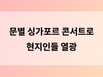 문별 싱가포르 콘서트로 현지인들 열광