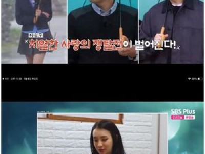 미스터 킴 국화 매력에 빠져들다