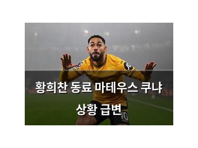 황희찬 동료 마테우스 쿠냐 상황 급변