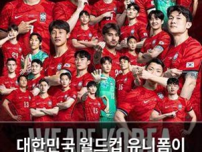 대한민국 월드컵 유니폼이 세계에서 뜨거운 반응