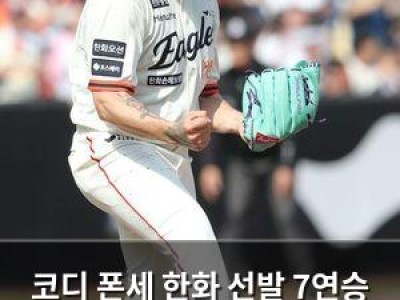 코디 폰세 한화 선발 7연승 이끌며 역대급 외국인 투수로 주목