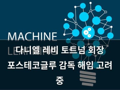 다니엘 레비 토트넘 회장 포스테코글루 감독 해임 고려 중