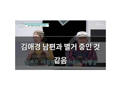 김애경 남편과 별거 중인 것 같음