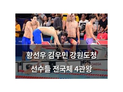황선우 김우민 강원도청 선수들 전국체 4관왕