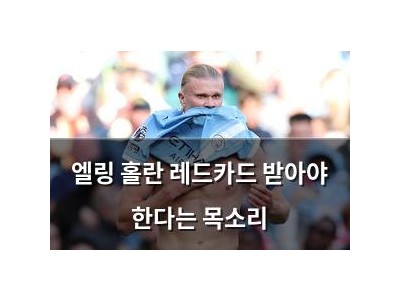 엘링 홀란 레드카드 받아야 한다는 목소리